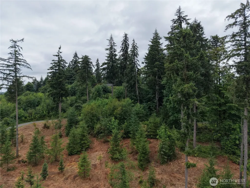 12345 Case Road SW Olympia WA 98512