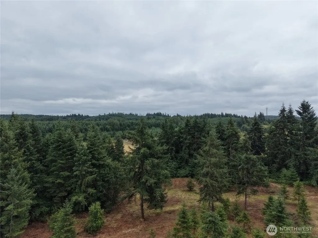 12345 Case Road SW Olympia WA 98512