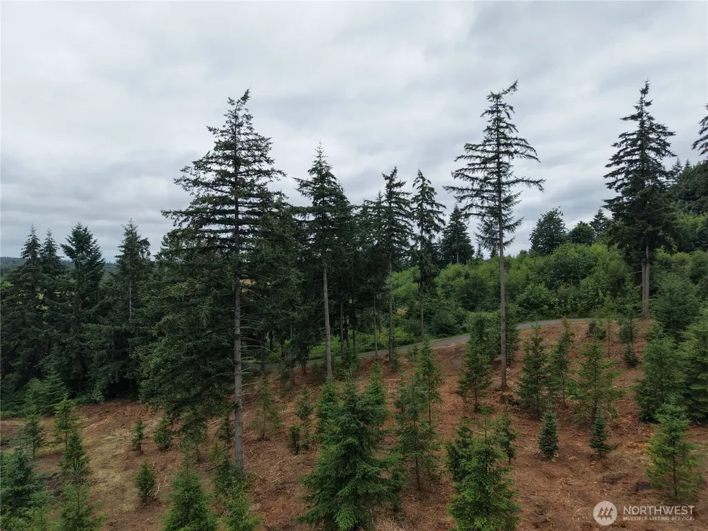 12345 Case Road SW Olympia WA 98512