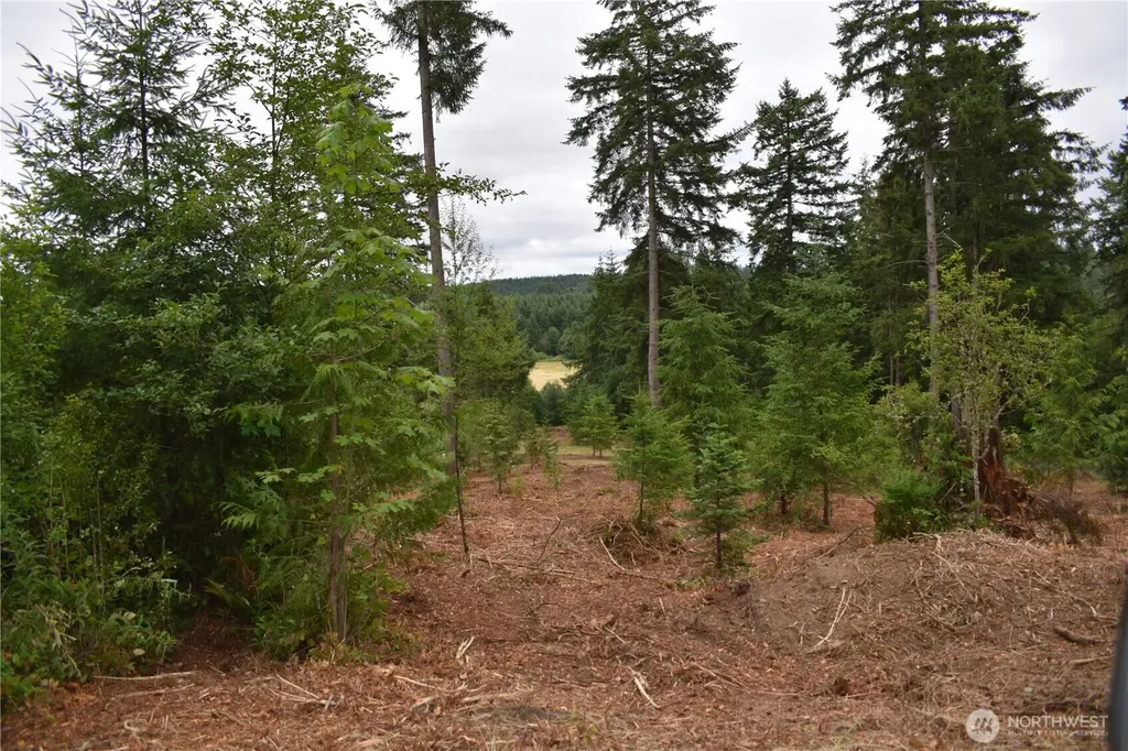12345 Case Road SW Olympia WA 98512