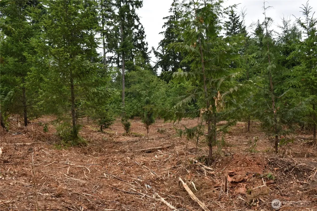 12345 Case Road SW Olympia WA 98512