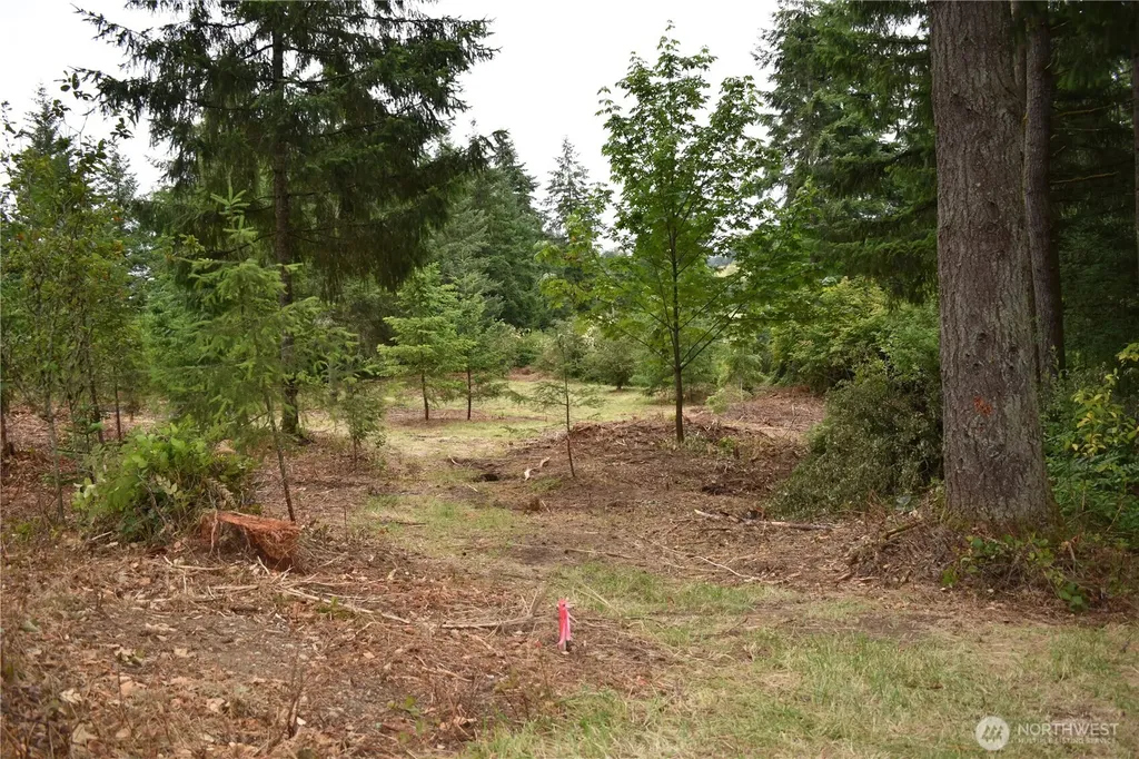 12345 Case Road SW Olympia WA 98512