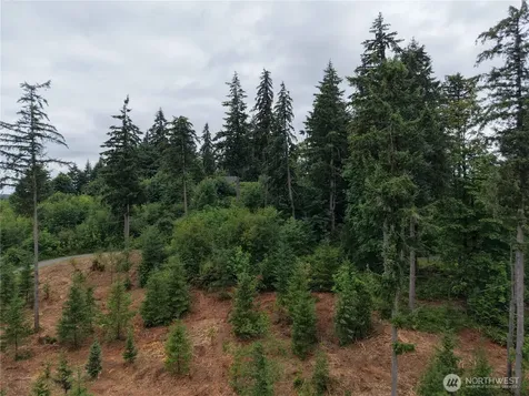 12345 Case Road SW Olympia WA 98512