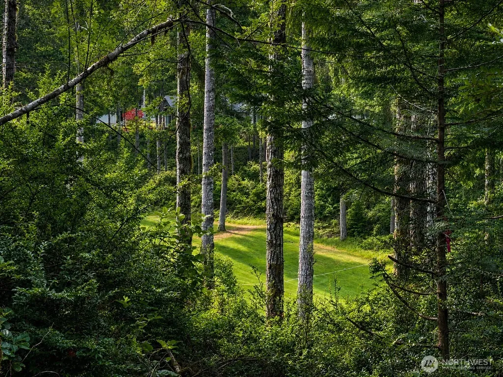 21 E Dogwood Court Union WA 98592