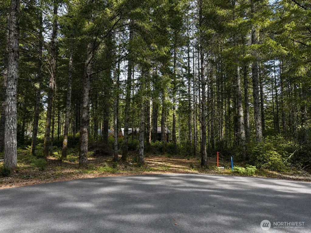 21 E Dogwood Court Union WA 98592