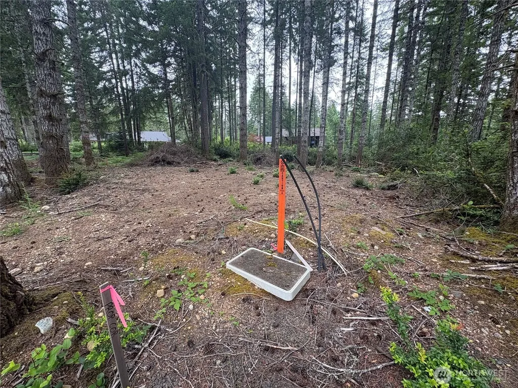 21 E Dogwood Court Union WA 98592