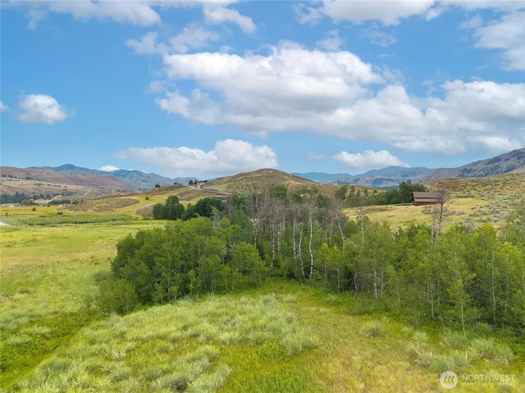 135 Hamilton Ranch Loop Winthrop WA 98862