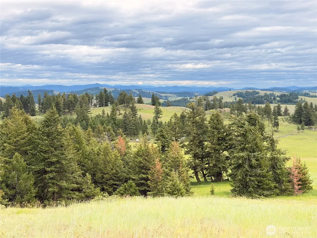 12 S Teal Lake Road Oroville WA 98844
