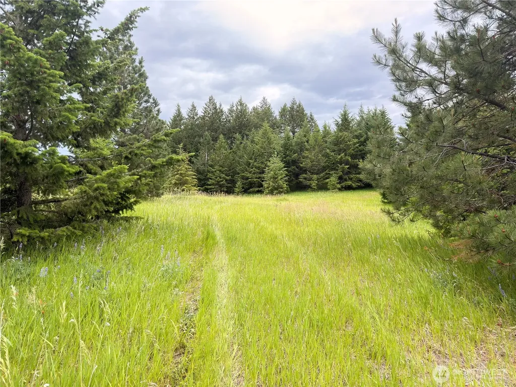 12 S Teal Lake Road Oroville WA 98844