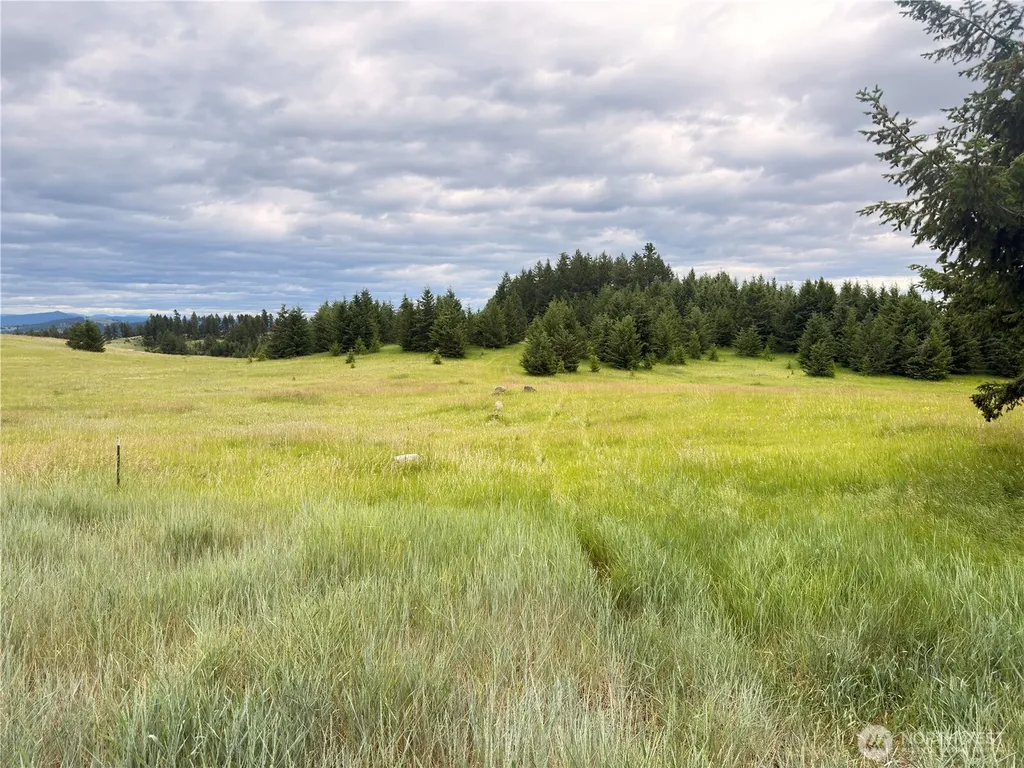 12 S Teal Lake Road Oroville WA 98844