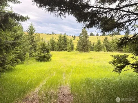 12 S Teal Lake Road Oroville WA 98844