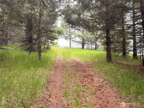 12 S Teal Lake Road Oroville WA 98844