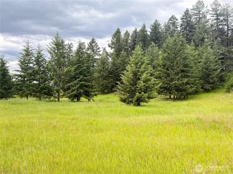 12 S Teal Lake Road Oroville WA 98844