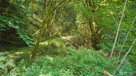 591 Casera Drive Quilcene WA 98376