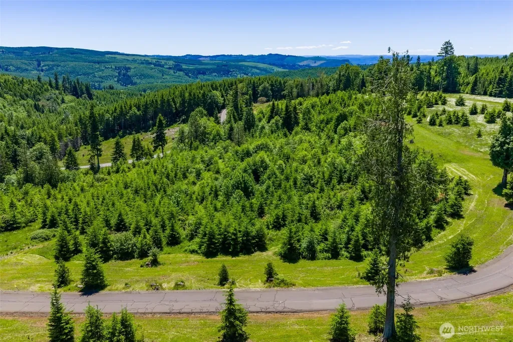 0 S Silver Lake Lot 6 Road Castle Rock WA 98611