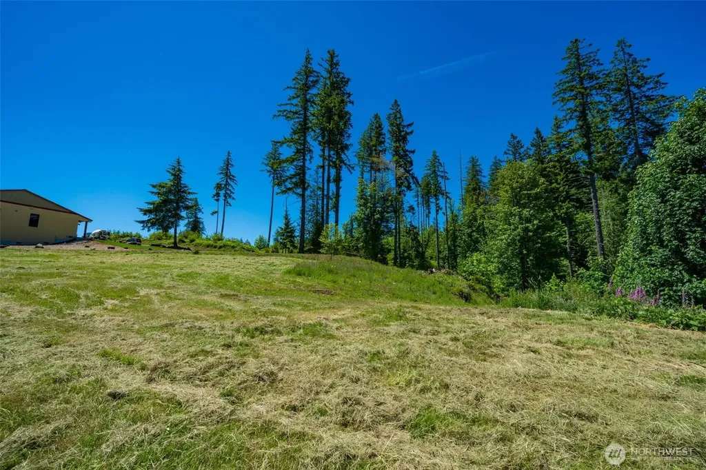 0 S Silver Lake Lot 6 Road Castle Rock WA 98611