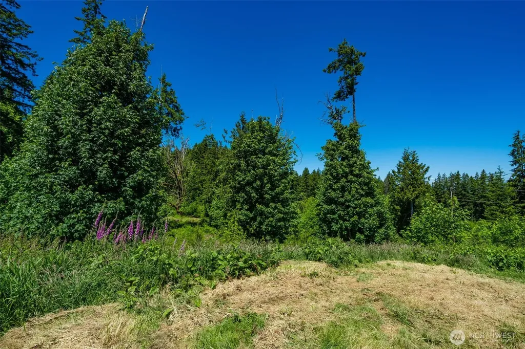 0 S Silver Lake Lot 6 Road Castle Rock WA 98611