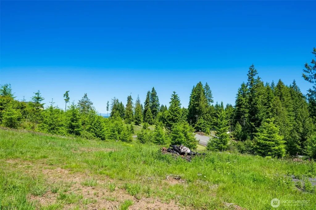 0 S Silver Lake Lot 6 Road Castle Rock WA 98611