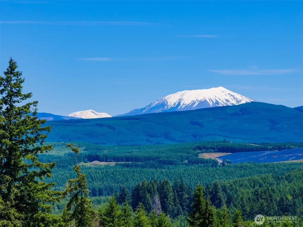 0 S Silver Lake Lot 6 Road Castle Rock WA 98611