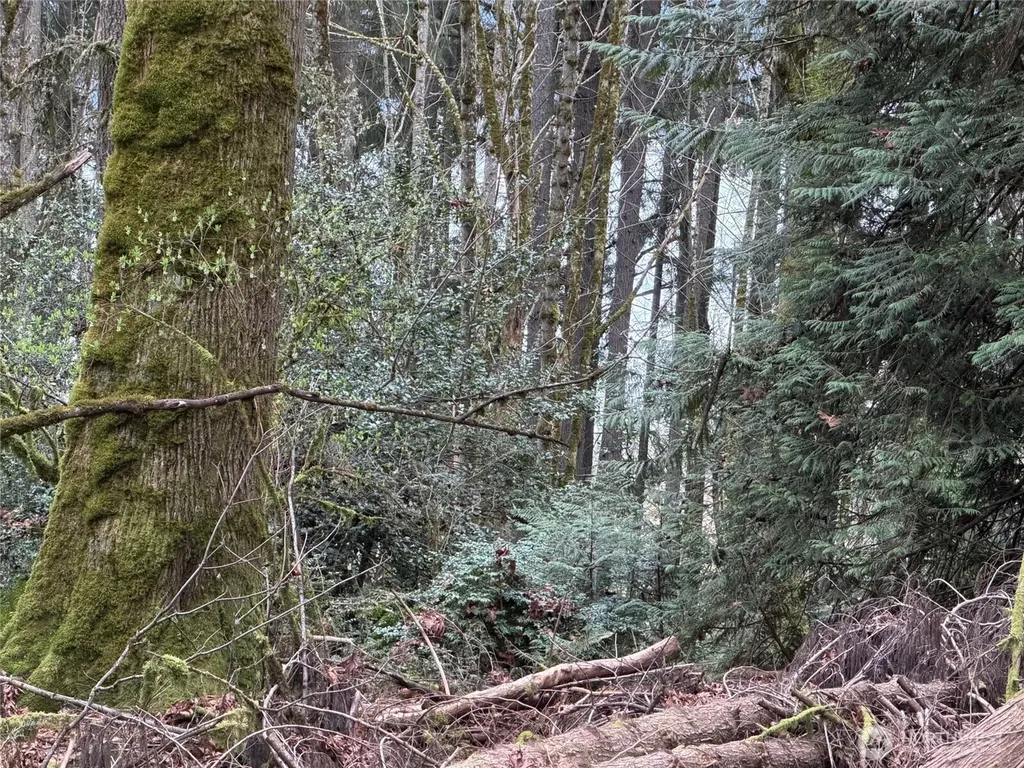 17680 Hallman Road NW Poulsbo WA 98370