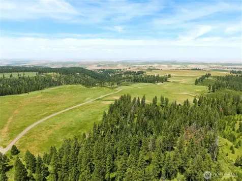 0 Lot 1 Cougar Canyon Road Dayton WA 99328