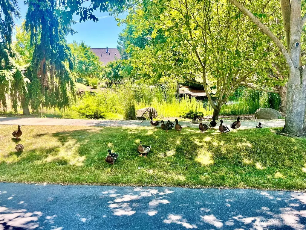 875 SE Creekside Drive College Place WA 99324