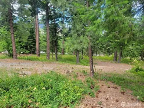 6757 Forest Ridge Drive Wenatchee WA 98801