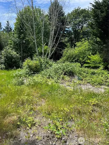957 Aberdeen Avenue NE Renton WA 98056