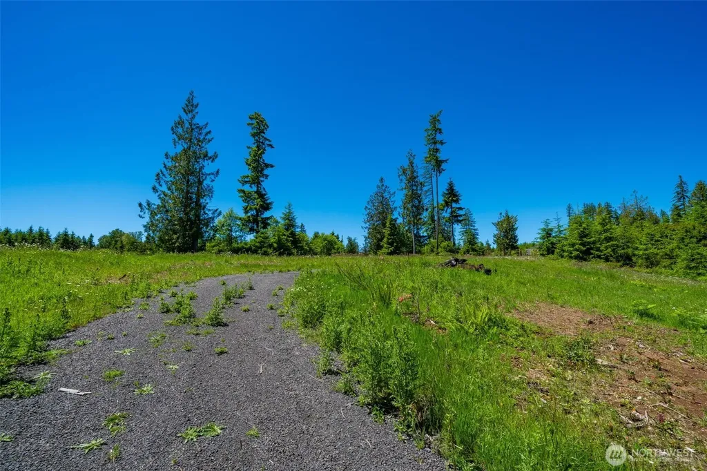 0 S Silver Lake Lot #7 Road Castle Rock WA 98611
