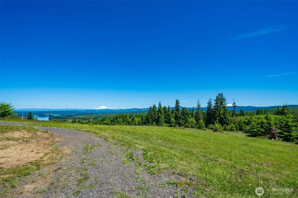 0 S Silver Lake Lot #7 Road Castle Rock WA 98611