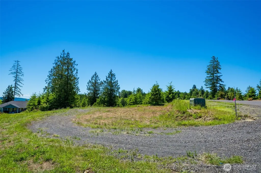 0 S Silver Lake Lot #7 Road Castle Rock WA 98611