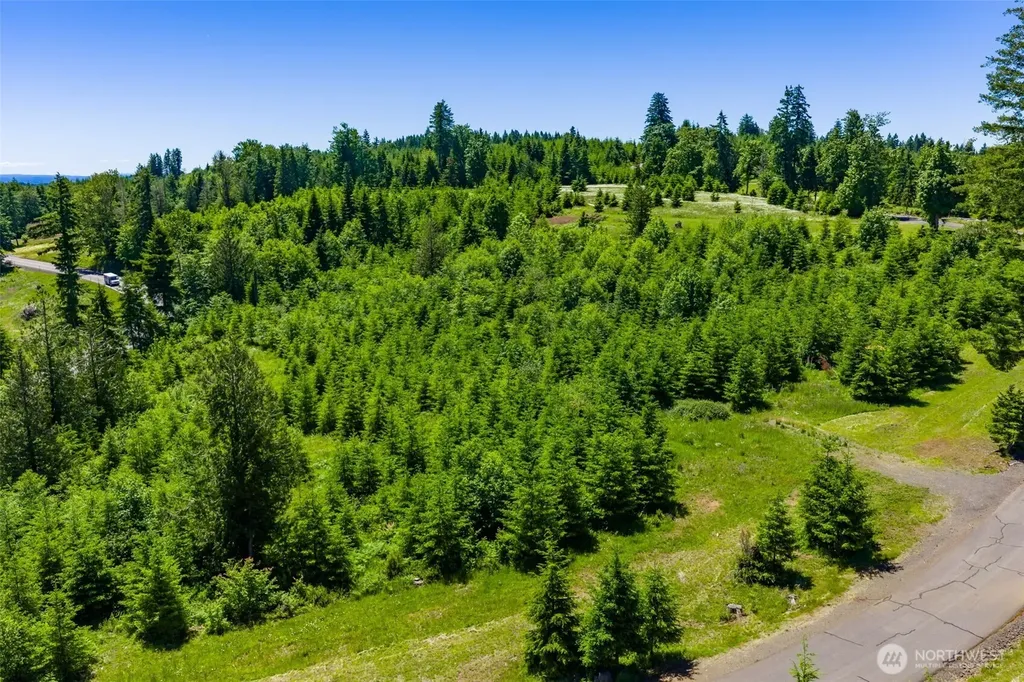 0 S Silver Lake Lot #7 Road Castle Rock WA 98611