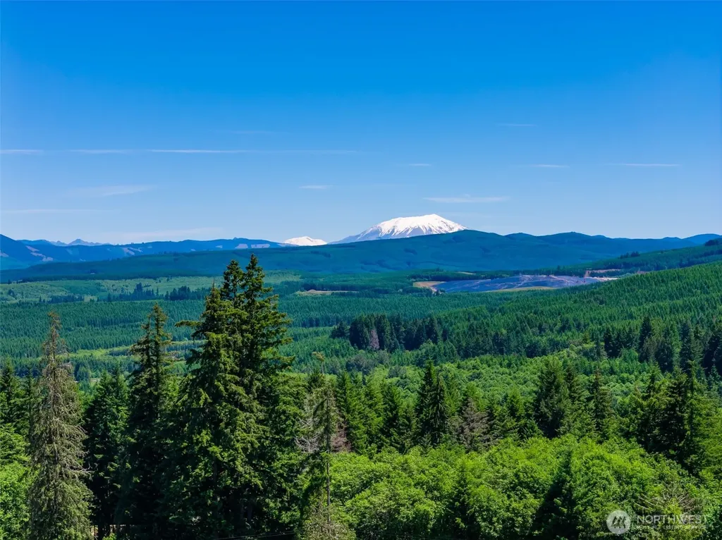 0 S Silver Lake Lot #7 Road Castle Rock WA 98611