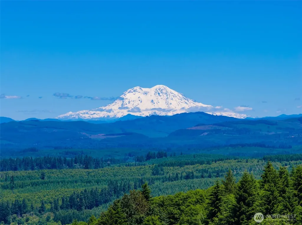0 S Silver Lake Lot #7 Road Castle Rock WA 98611