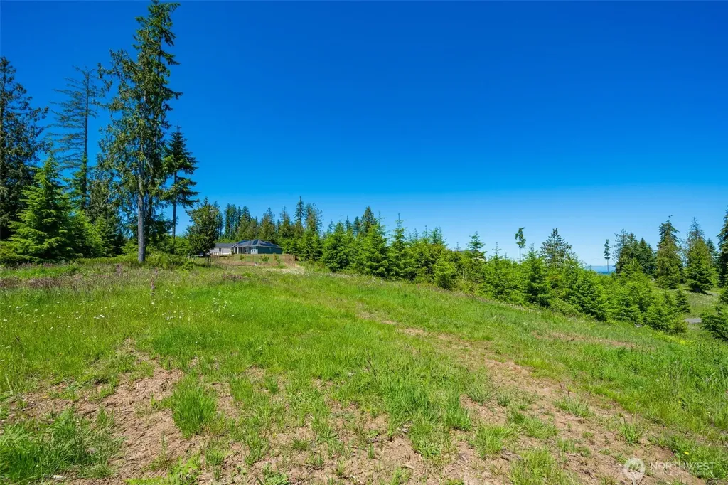 0 S Silver Lake Lot #7 Road Castle Rock WA 98611