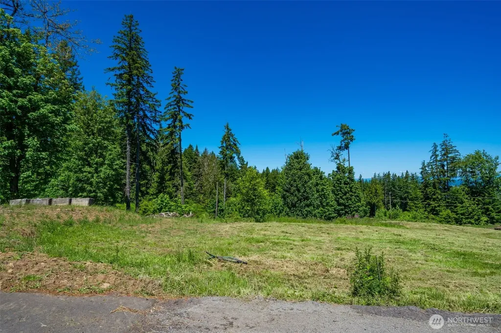 0 S Silver Lake Lot #7 Road Castle Rock WA 98611