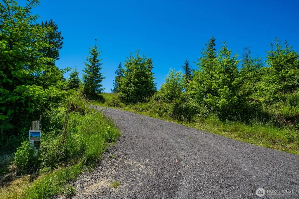 0 S Silver Lake Lot #7 Road Castle Rock WA 98611