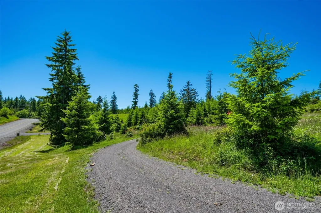 0 S Silver Lake Lot #7 Road Castle Rock WA 98611