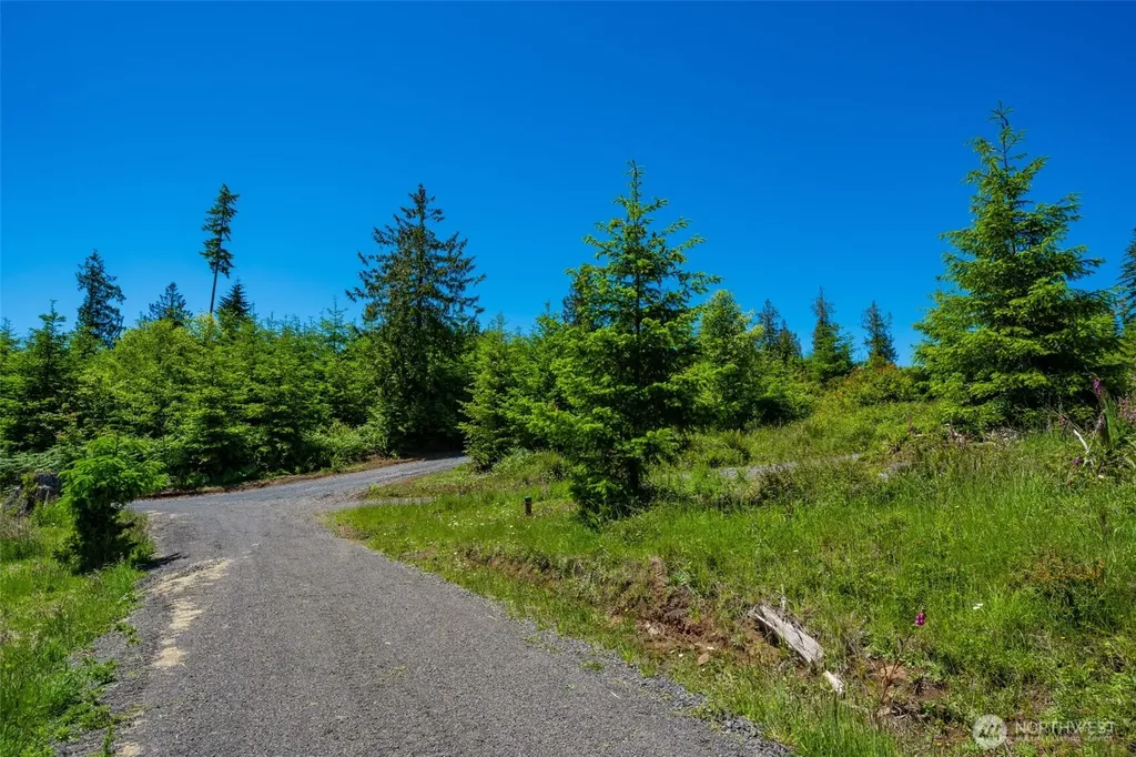 0 S Silver Lake Lot #7 Road Castle Rock WA 98611