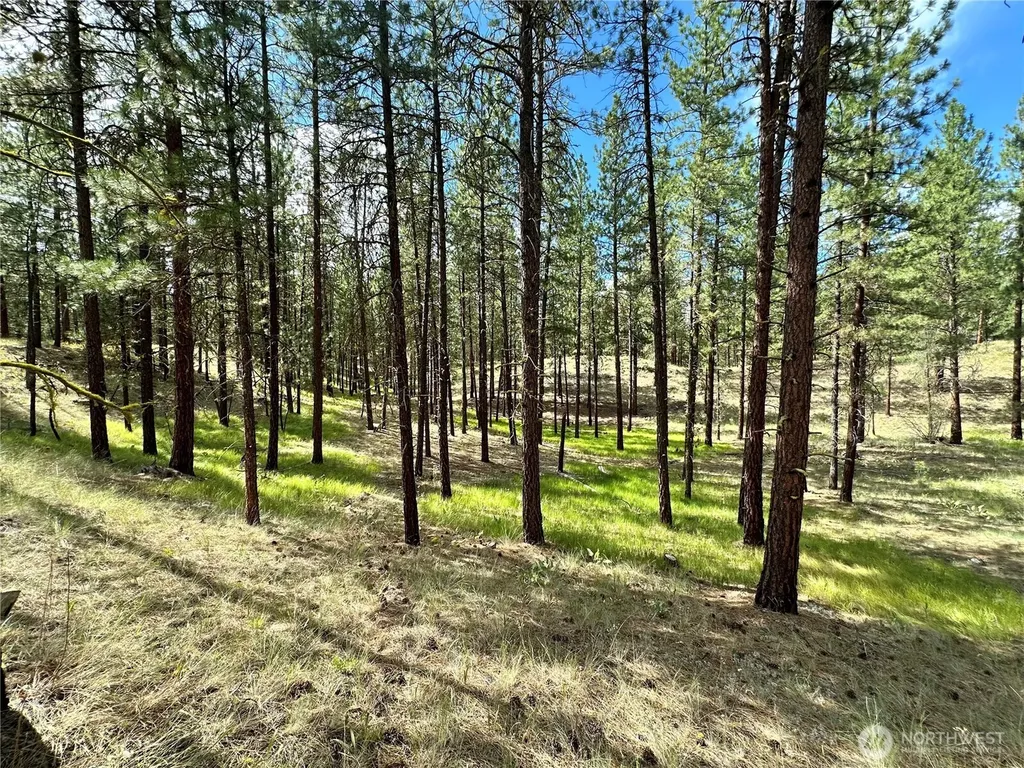 67 Larkspur Drive Winthrop WA 98862