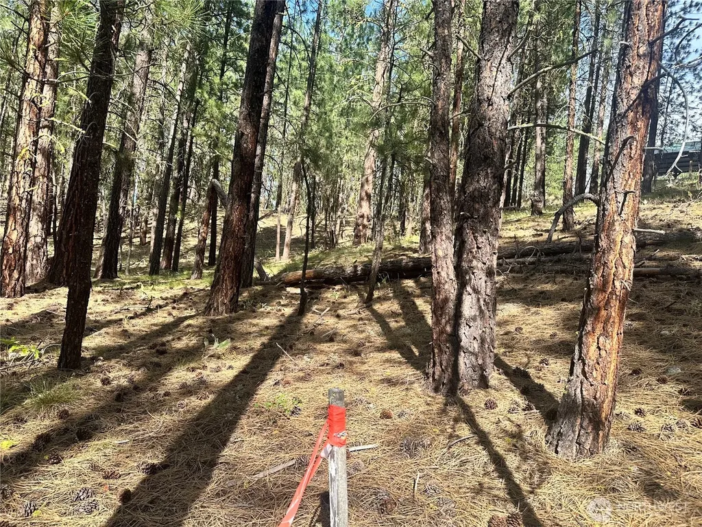 67 Larkspur Drive Winthrop WA 98862