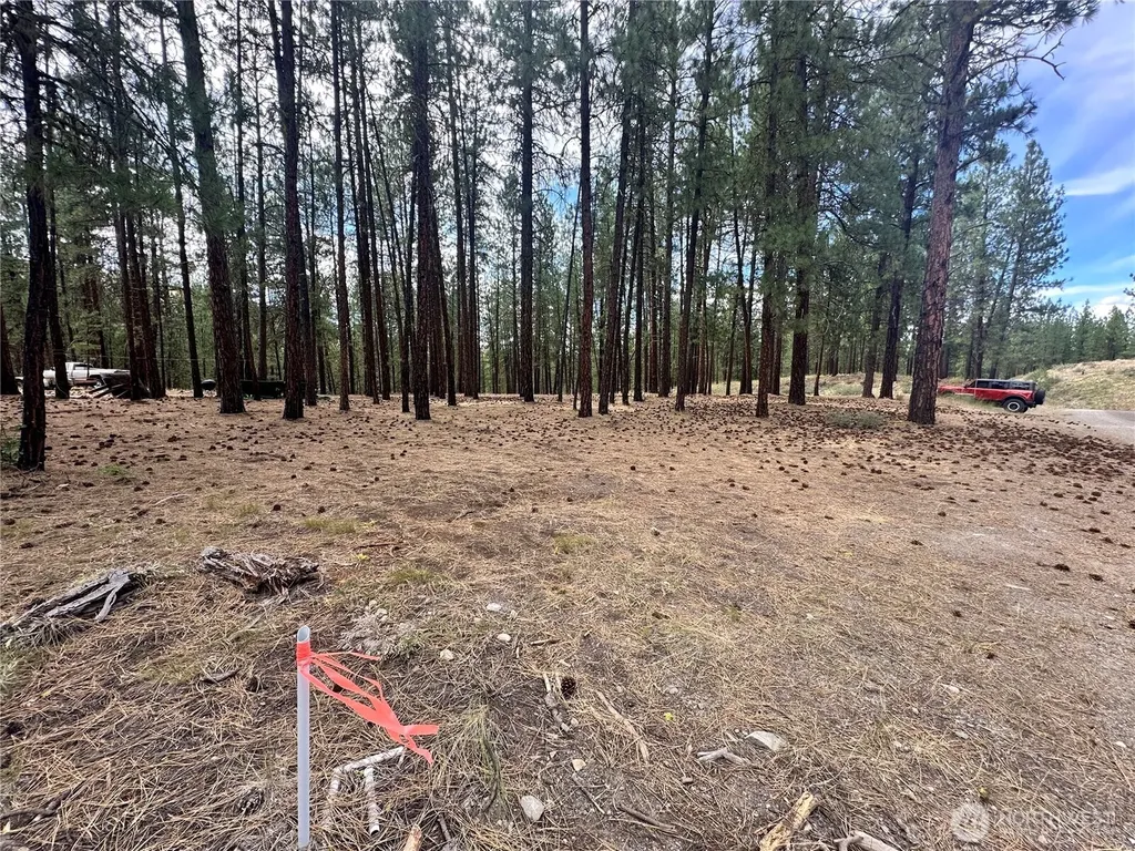 67 Larkspur Drive Winthrop WA 98862