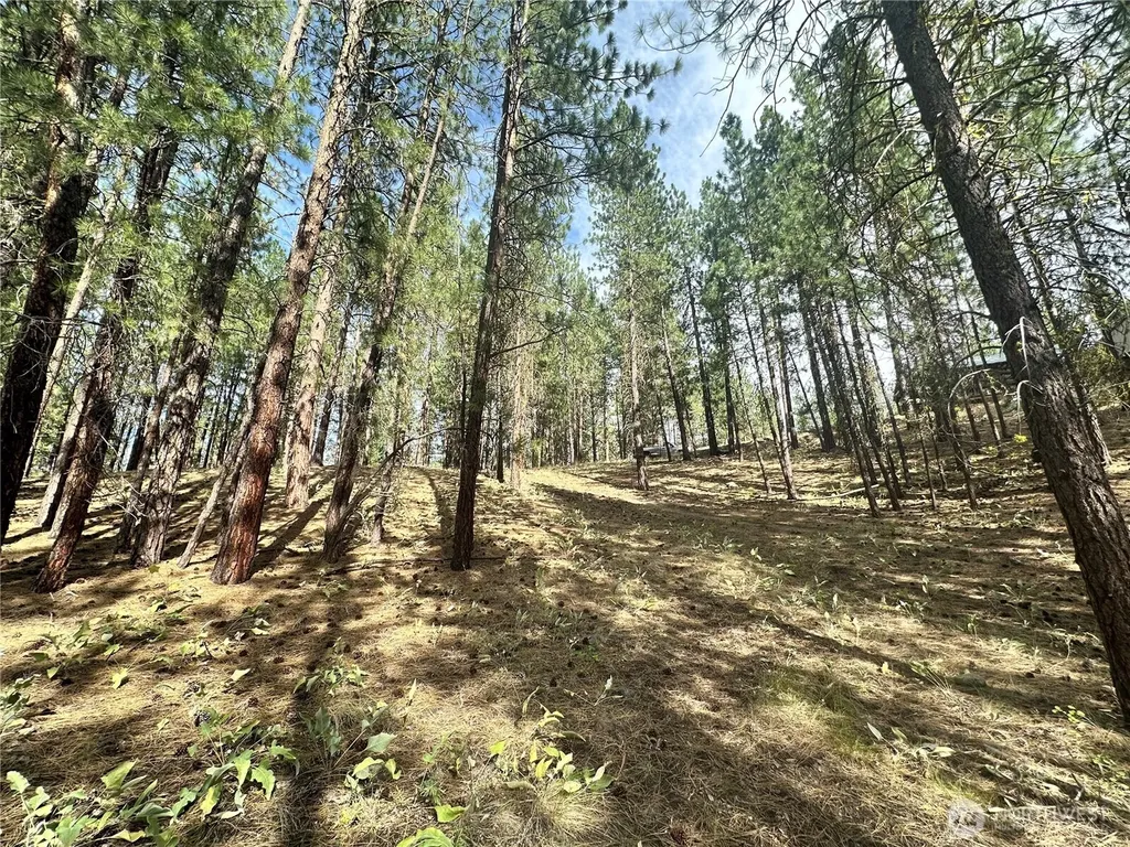 67 Larkspur Drive Winthrop WA 98862