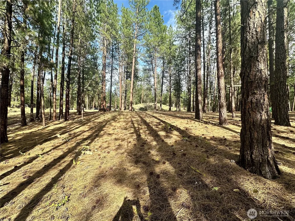 67 Larkspur Drive Winthrop WA 98862