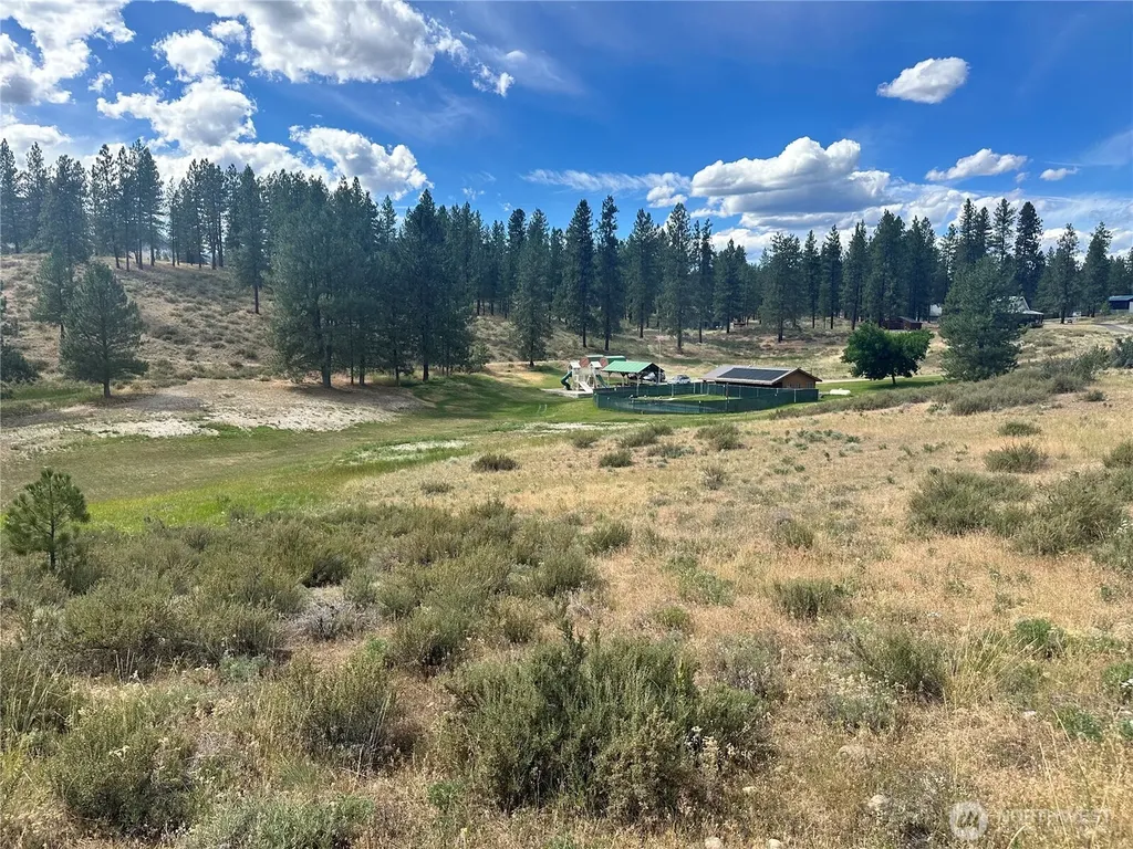 67 Larkspur Drive Winthrop WA 98862
