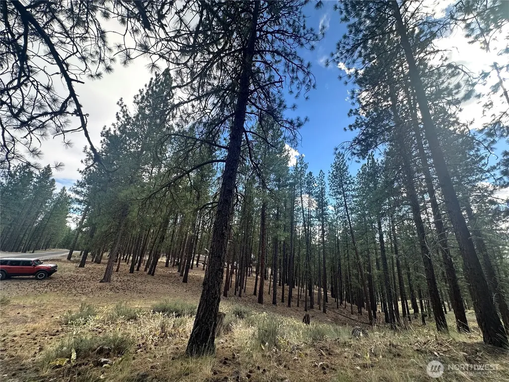 67 Larkspur Drive Winthrop WA 98862