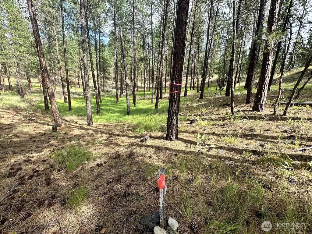 67 Larkspur Drive Winthrop WA 98862