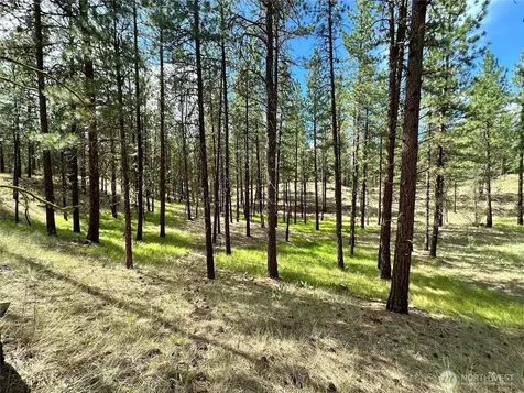 67 Larkspur Drive Winthrop WA 98862