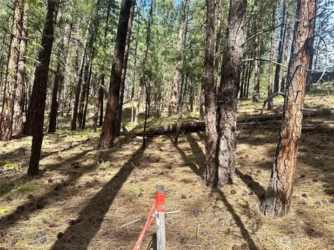 67 Larkspur Drive Winthrop WA 98862