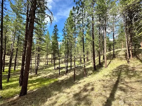 67 Larkspur Drive Winthrop WA 98862